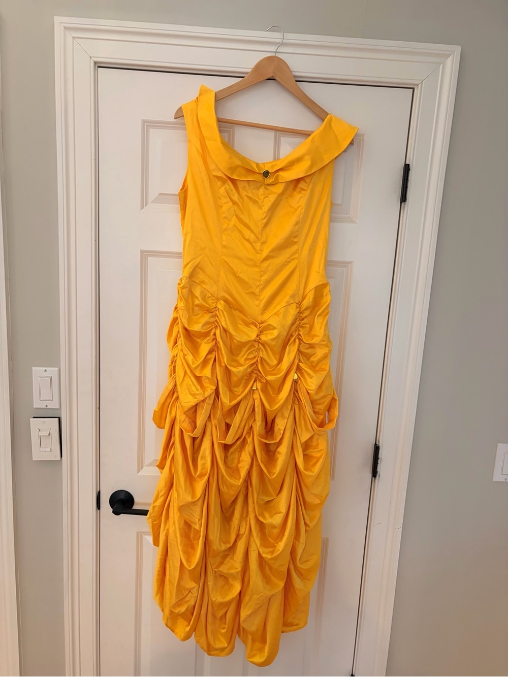 Belle Dress & Beast Hood Costume